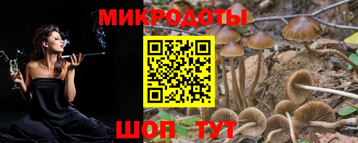 Кольчугино  Галлюциногенные грибы прущие грибы  дарнет шоп  Вход с VPN 