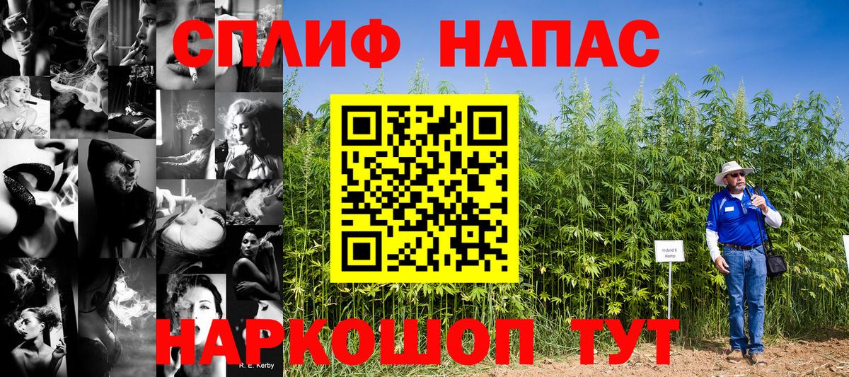Бошки Шишки план Кольчугино